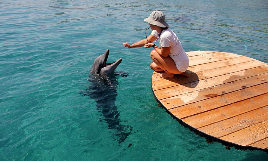 eilat israel